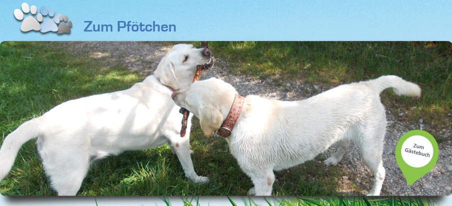 Hunde Tagesstätte
