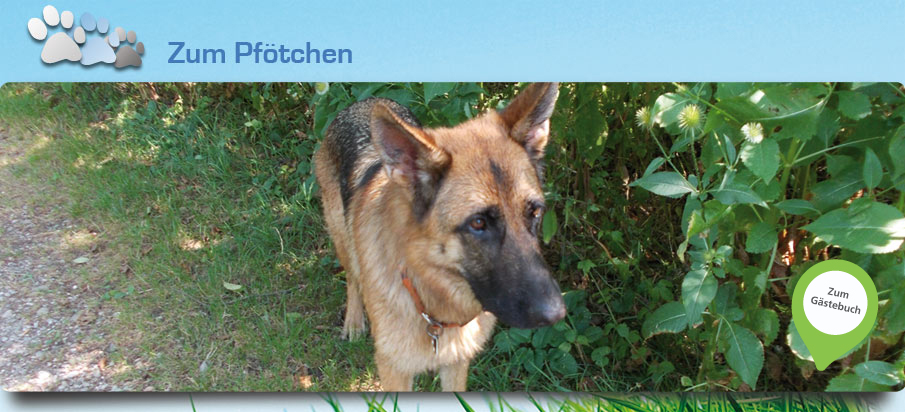 Hunde Tagesstätte